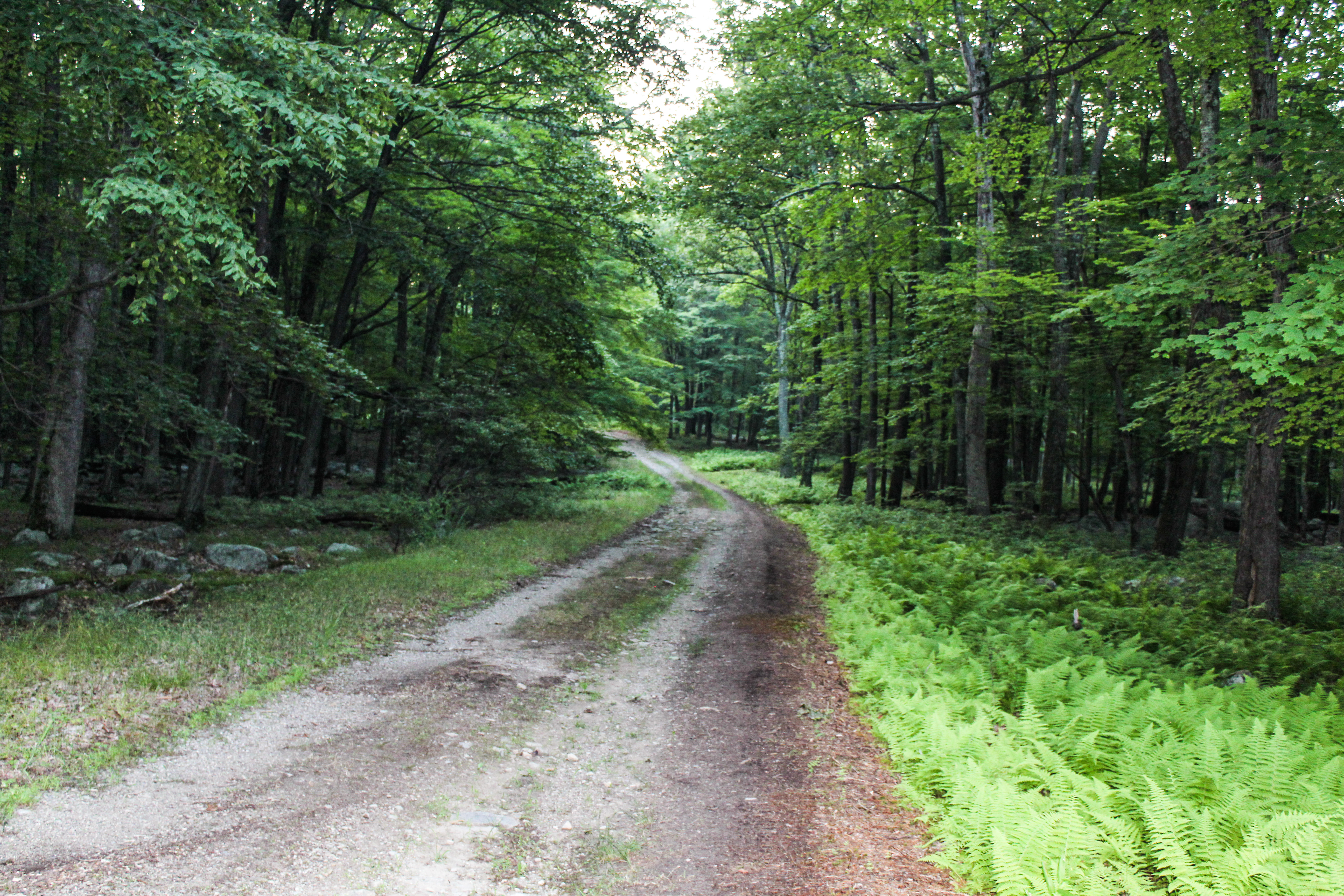 Second Reservoir 2596_edited