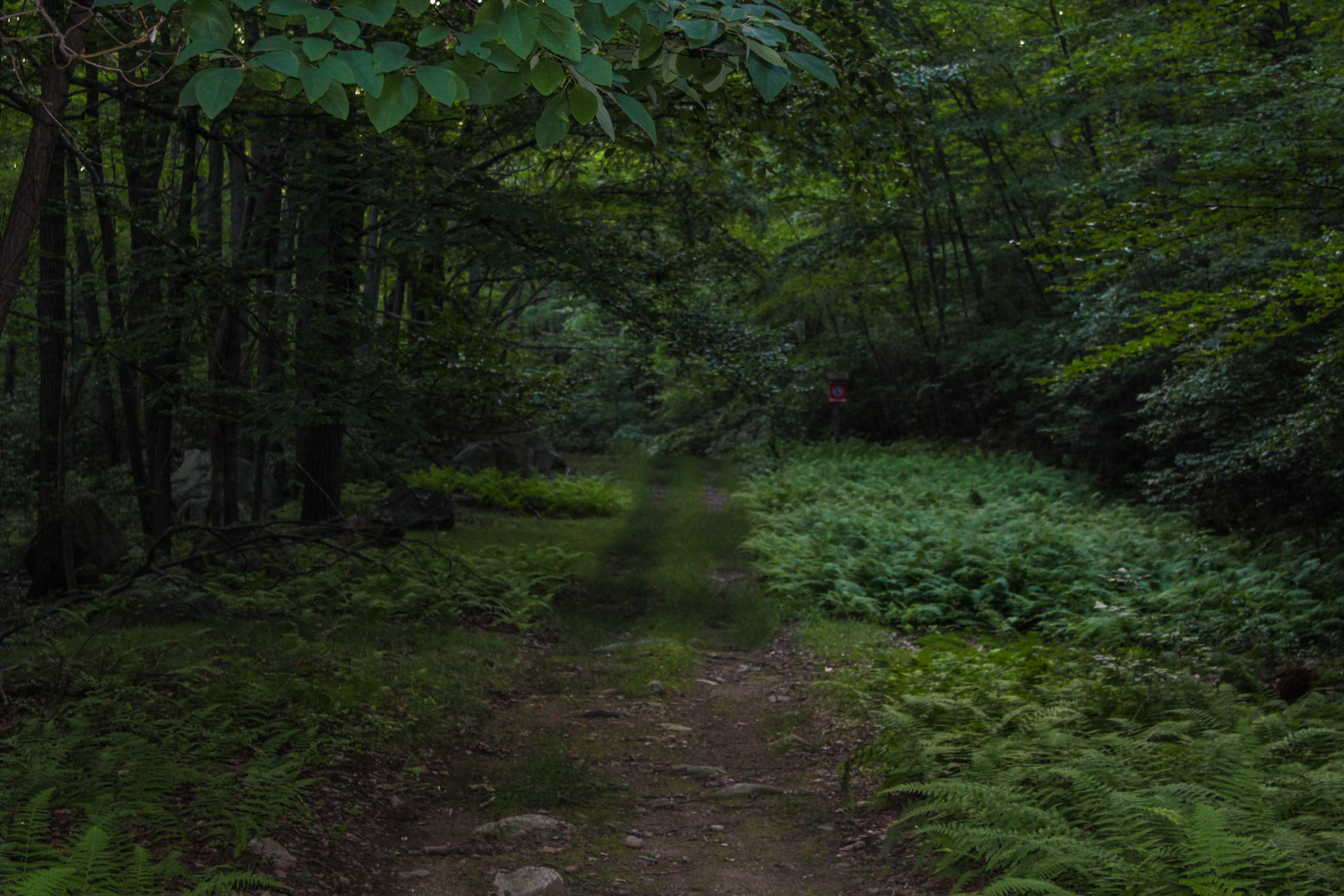 Second Reservoir 2598_edited