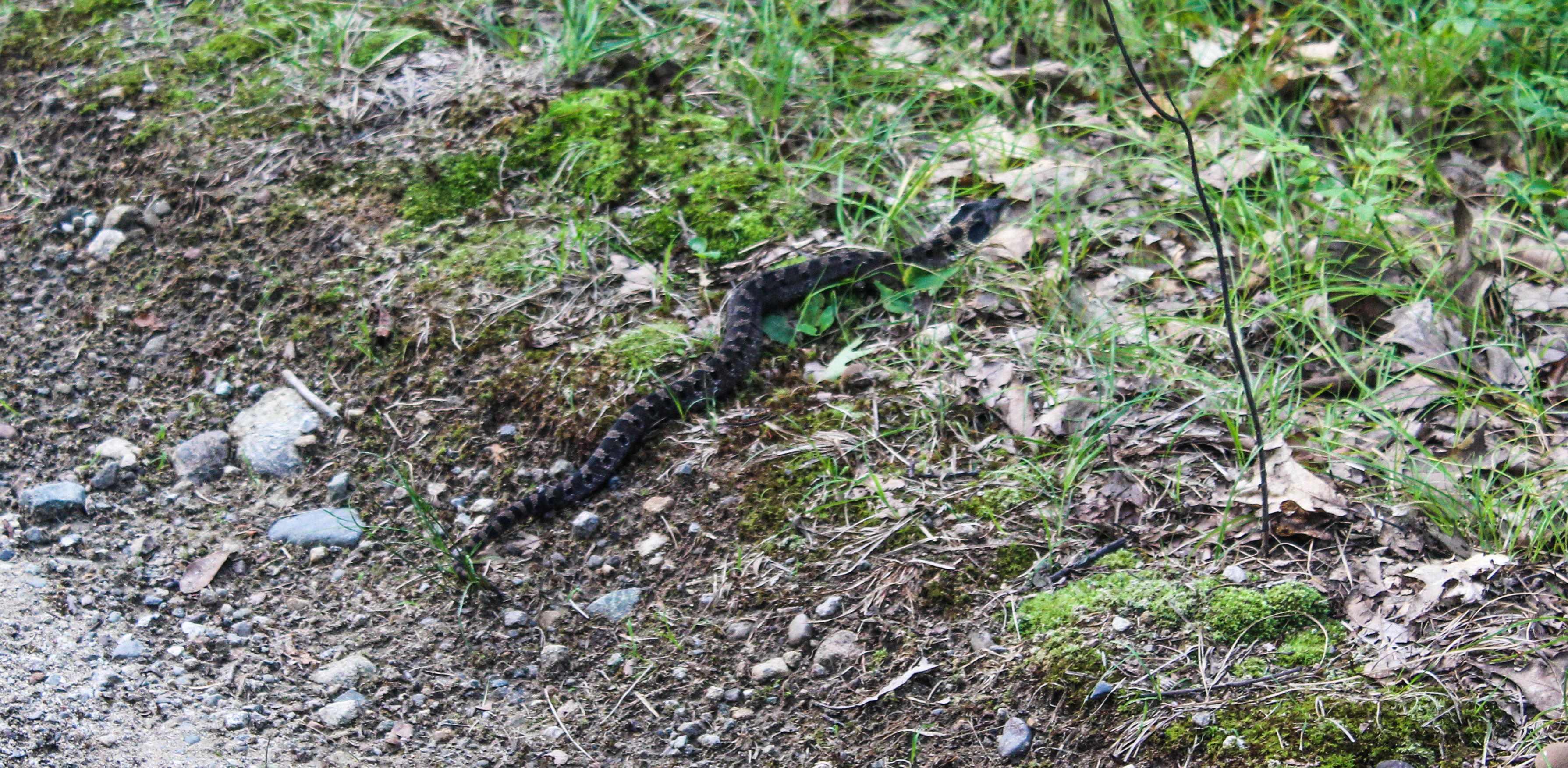 Second Reservoir 2613_edited_edited