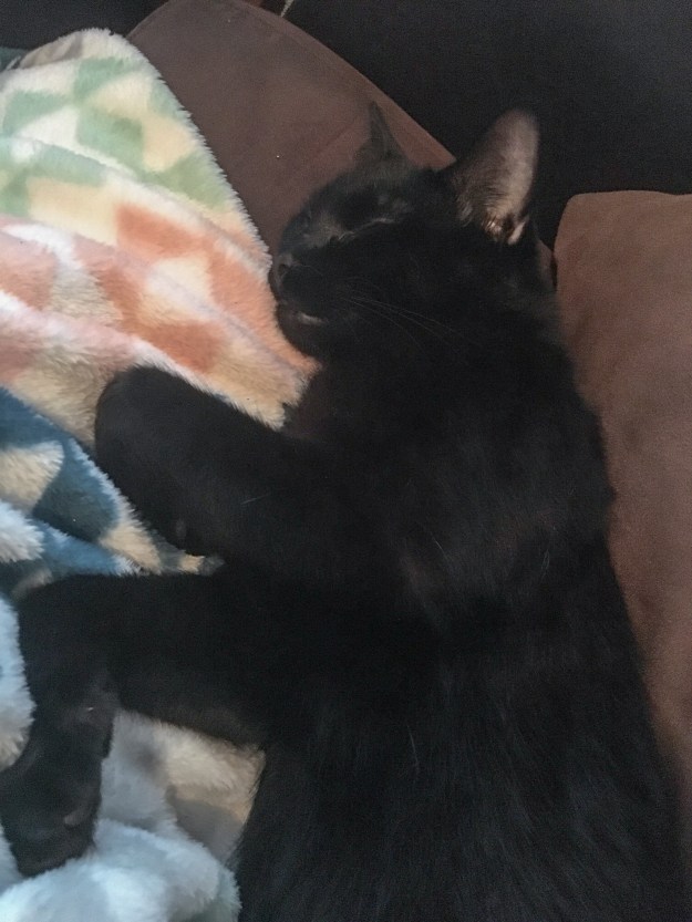 serius sleeping_edited