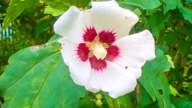 WP_20170826_003_edited