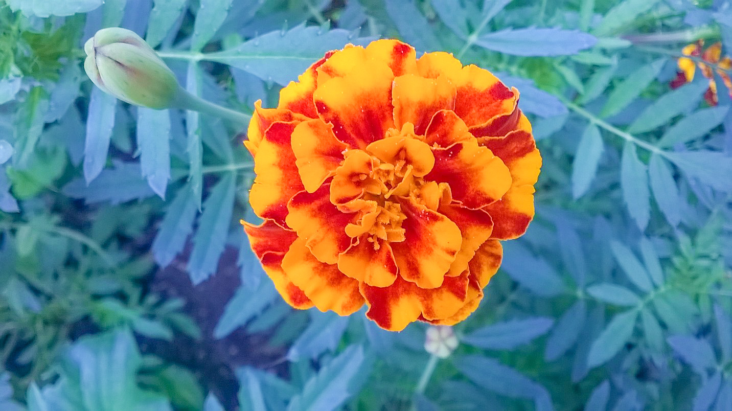 WP_20170826_007_edited