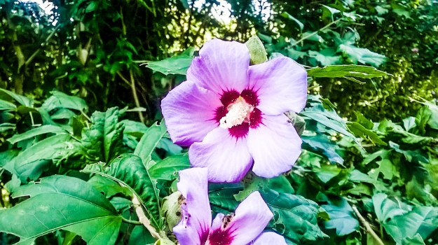 WP_20170826_009_edited