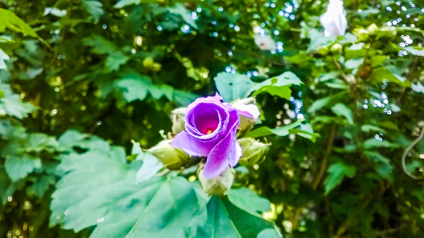 WP_20170826_010_edited