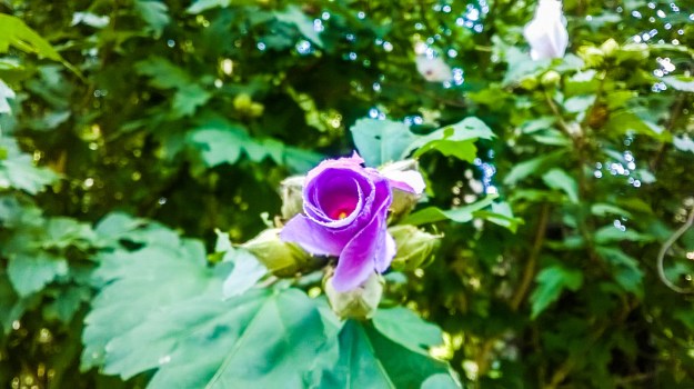 WP_20170826_010_edited