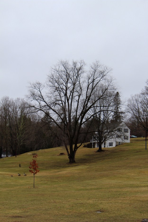 128310C7-C137-4F6B-8AC0-34AB57EAE034