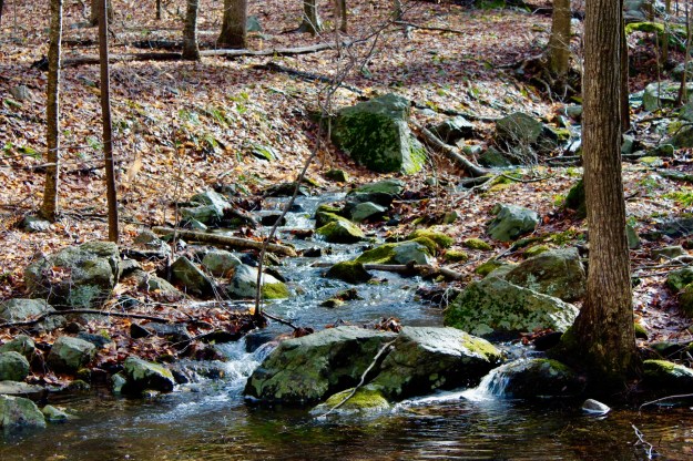 63F3C952-AFE4-4B88-B55C-381DCB973D16