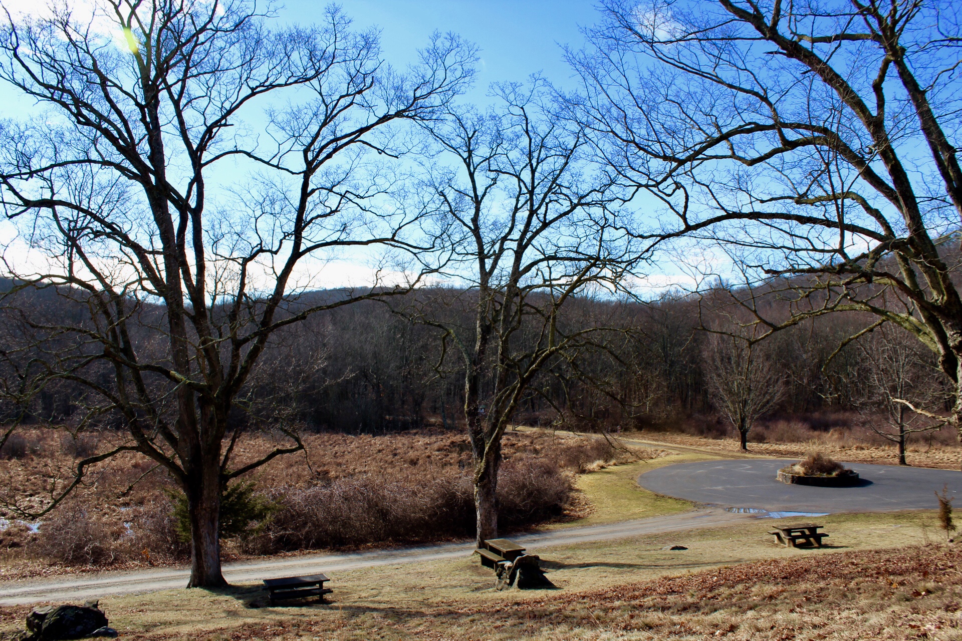 644CA835-5529-4CD4-AB6B-22831BD120E9