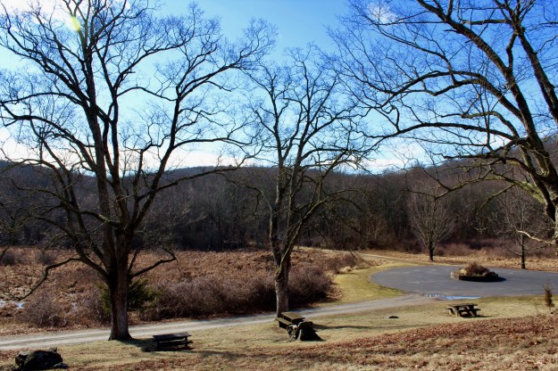 644CA835-5529-4CD4-AB6B-22831BD120E9