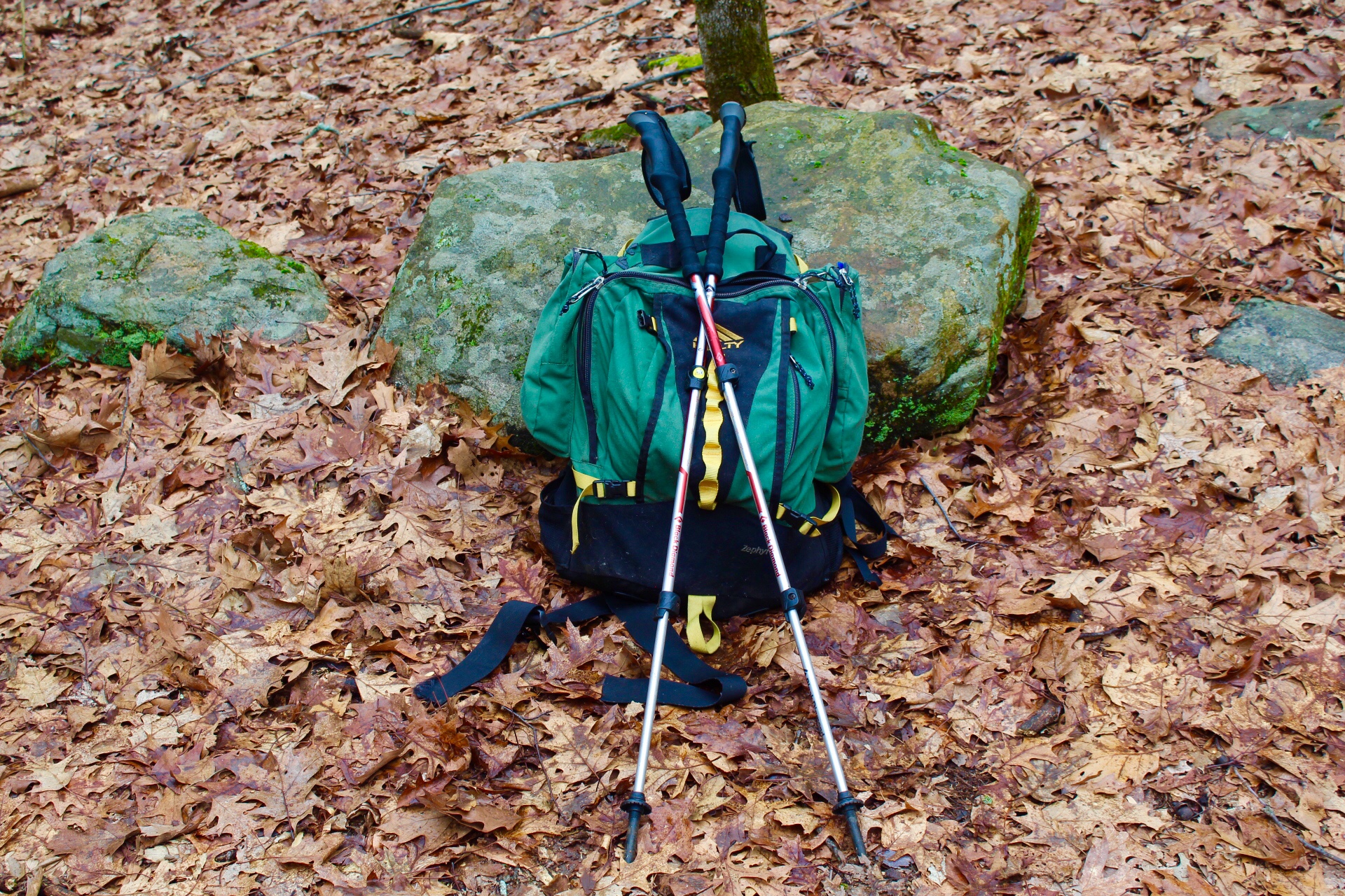 6B464E56-286C-43C5-8986-2617F20B0F59