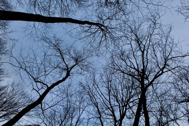 84842FC2-82DC-45AA-9627-0C0A7A229B3D