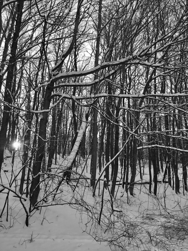 8D6399DD-94C1-4C5E-97F1-CC95CC7714FB