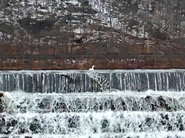 30DA0F7A-423A-4F44-B7AA-4325CF697D5E