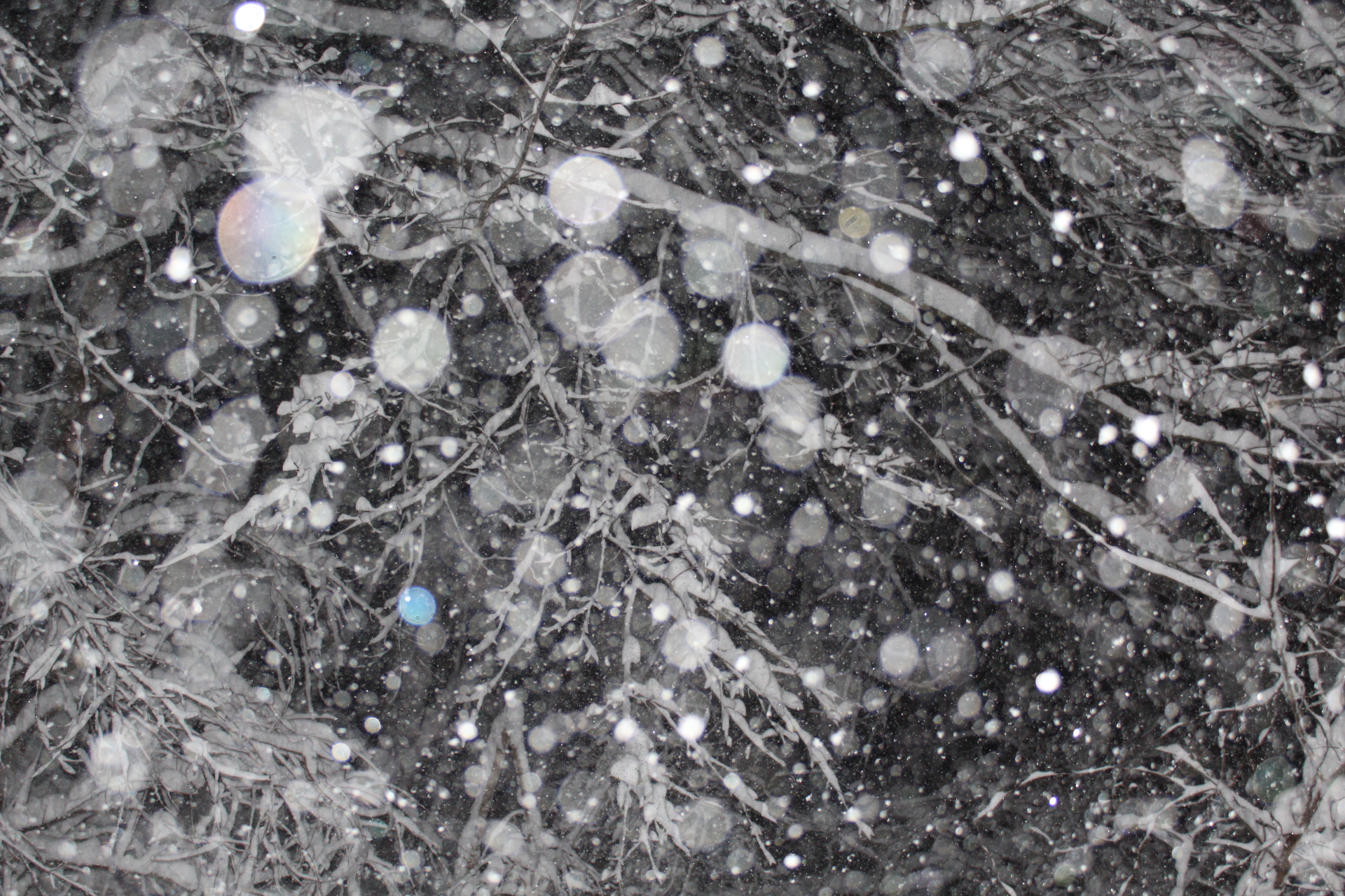 52173FEC-9773-4D46-AEC2-CCF008509B34