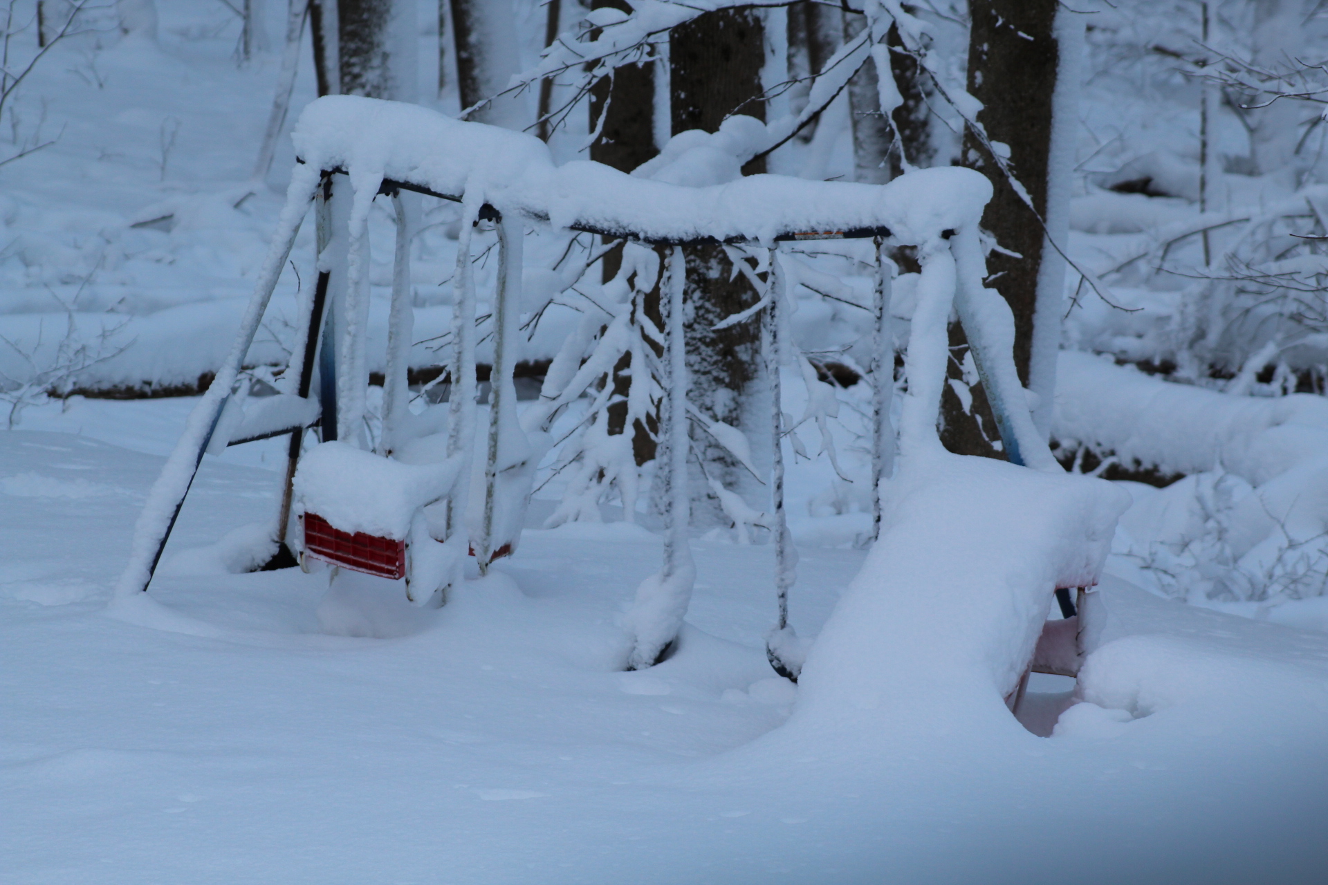 91BFD9AA-046D-4FFC-AC7C-B2F4A2940C91