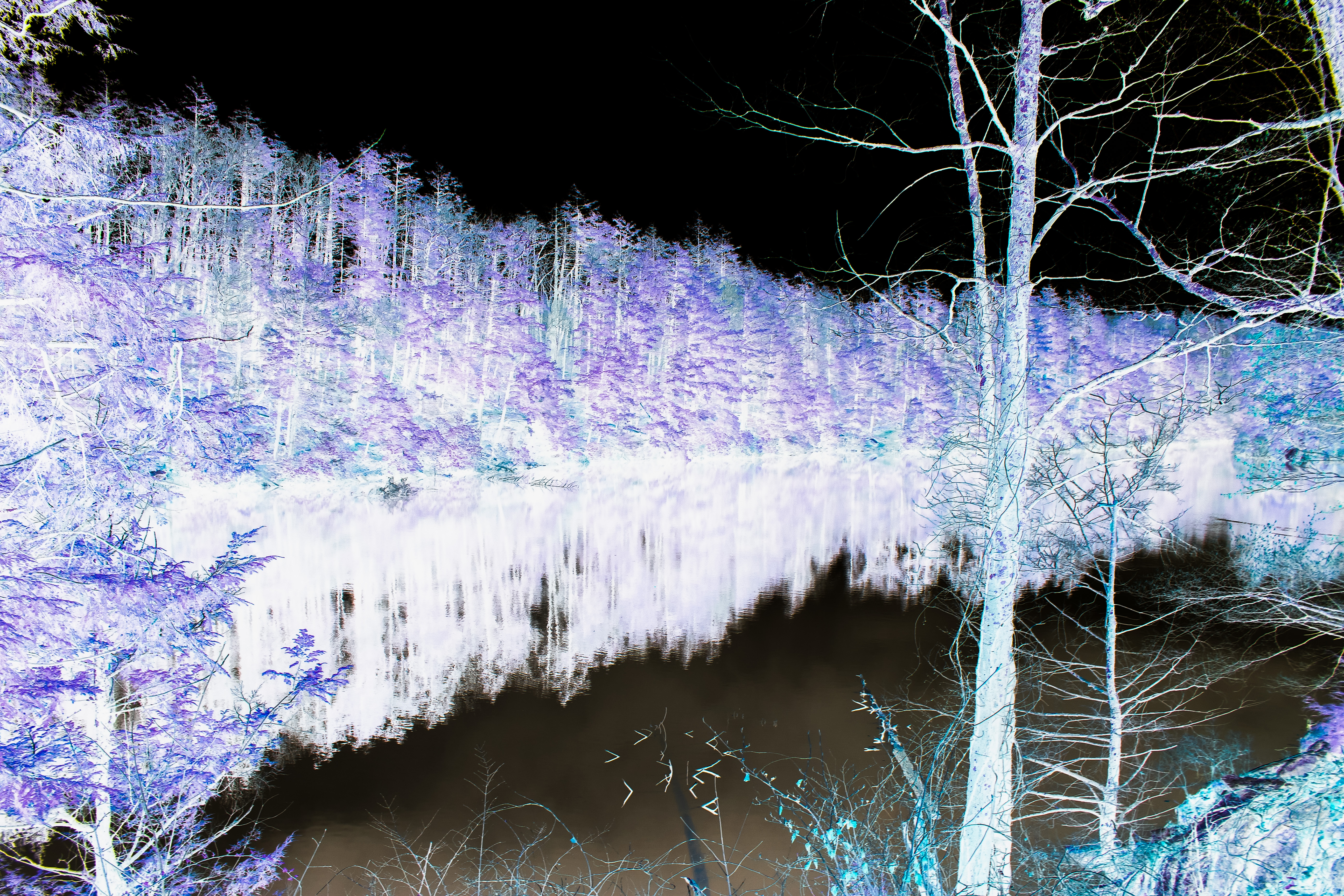 fahnestock pelton pond