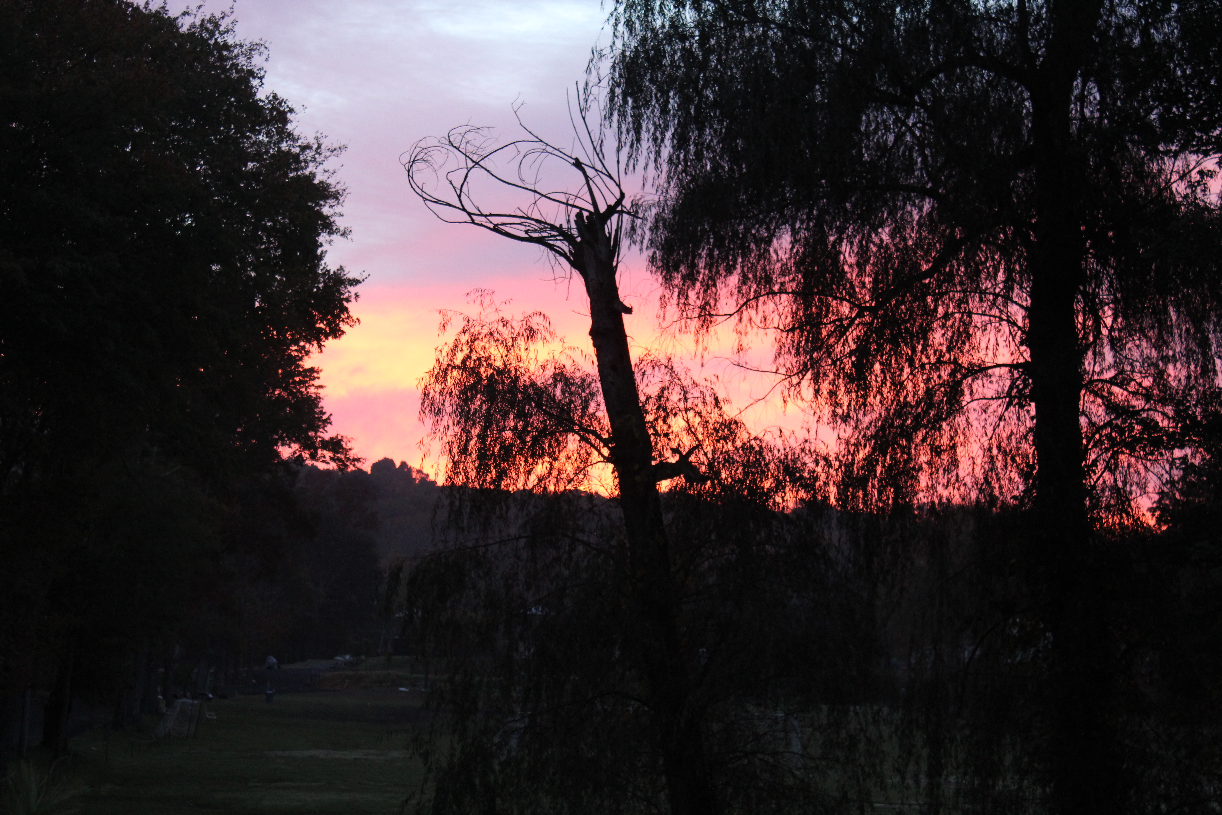 6D37D020-68D4-4C06-B14E-0E1FA77AC31B