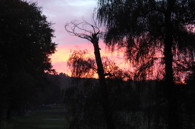 6D37D020-68D4-4C06-B14E-0E1FA77AC31B