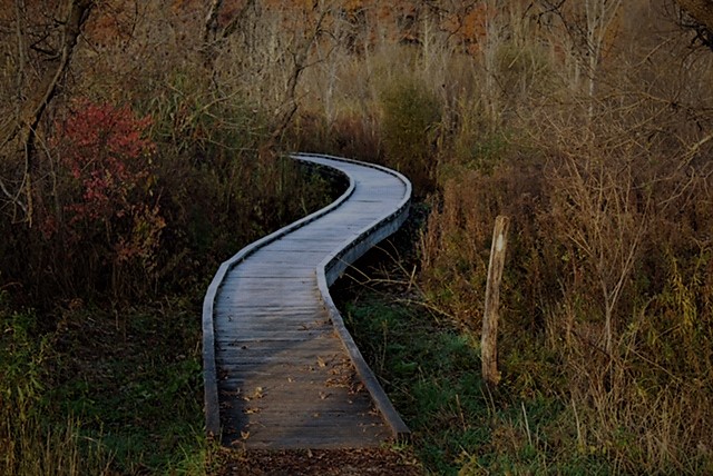 10798809472_IMG_7736