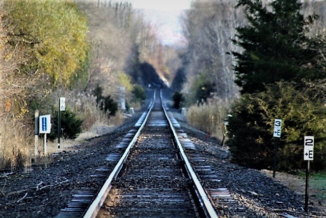 10798977584_IMG_7739