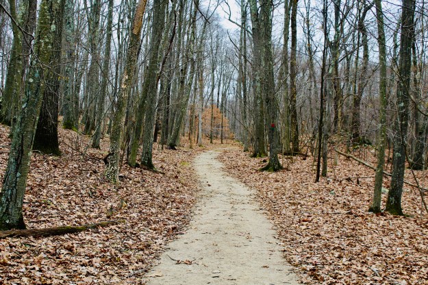 BF360B89-D6C0-48E7-8716-56A07BD441DB