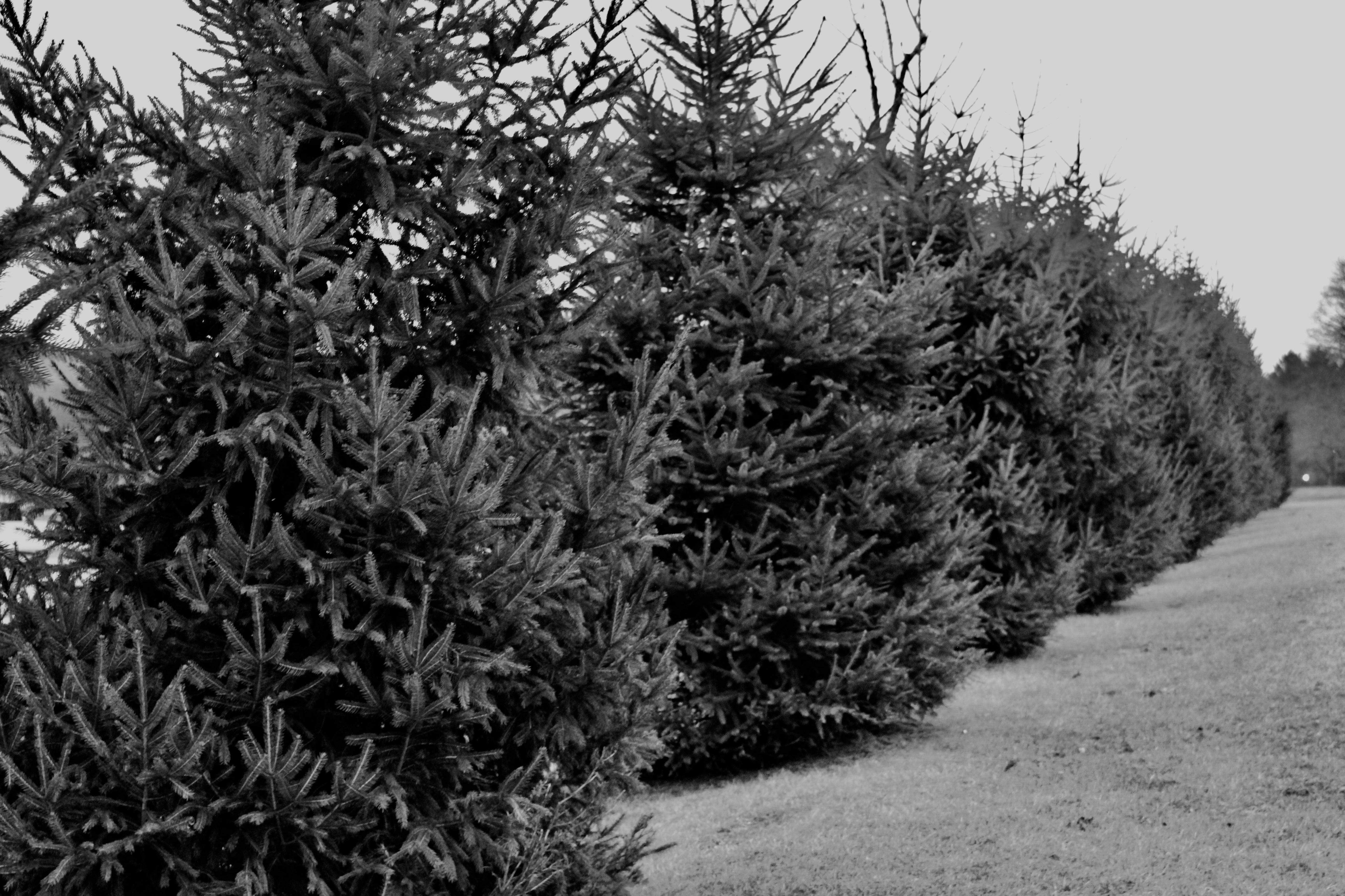 1A694636-263D-4109-AF50-A814BBACB0B3