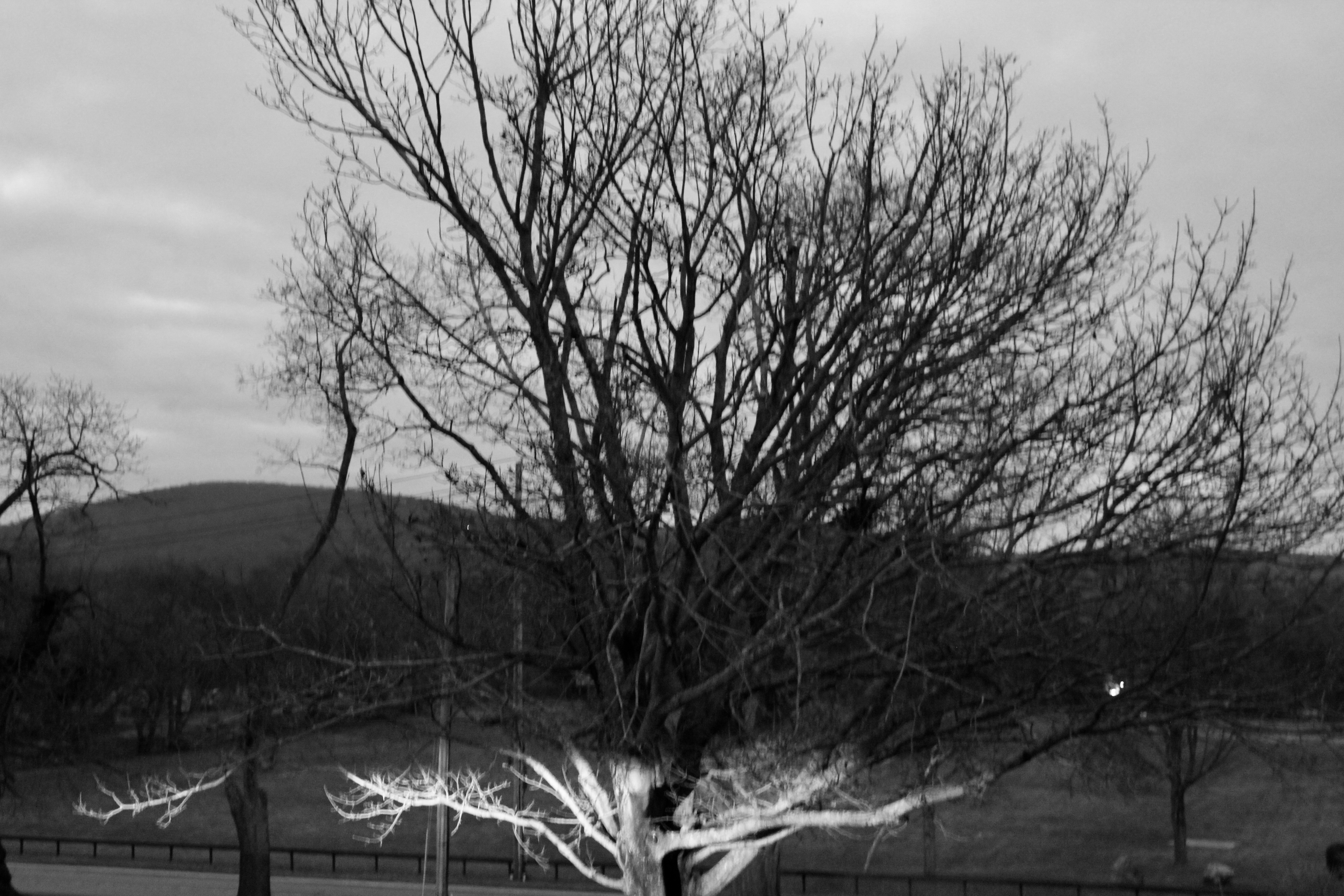 83F003DF-4F86-4A59-A19A-B0BE41FA64AE