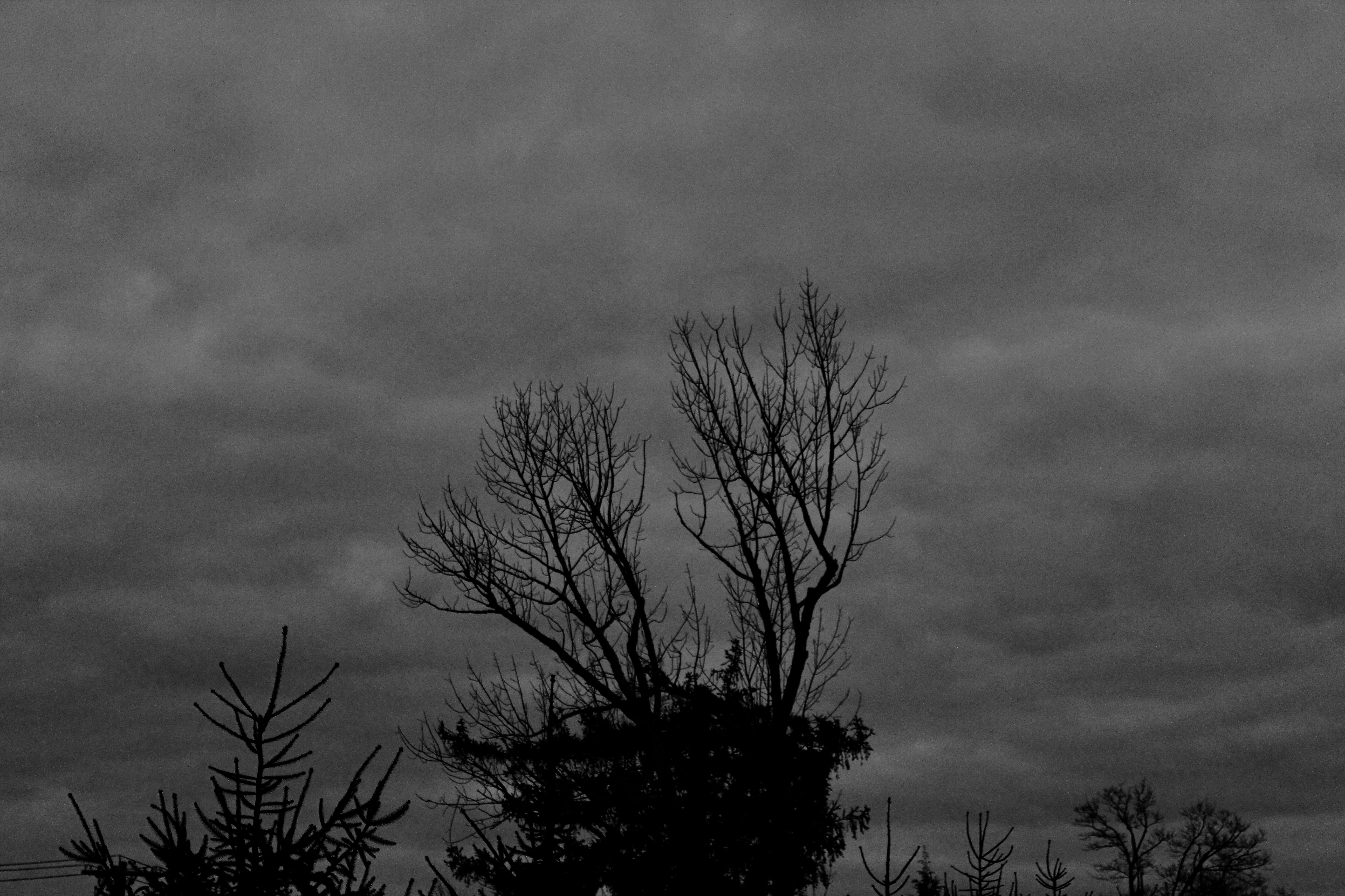 D270F87C-02B5-43FE-A092-692A8783C3E2